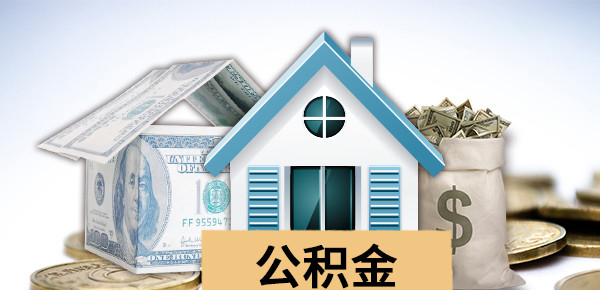 详解芝麻信用贷款全攻略：如何高效申请与使用